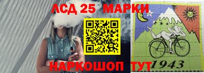 дмт Донской