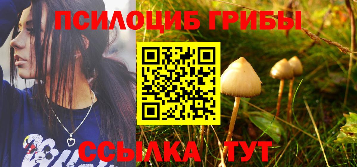 Галлюциногенные грибы прущие грибы Карасук