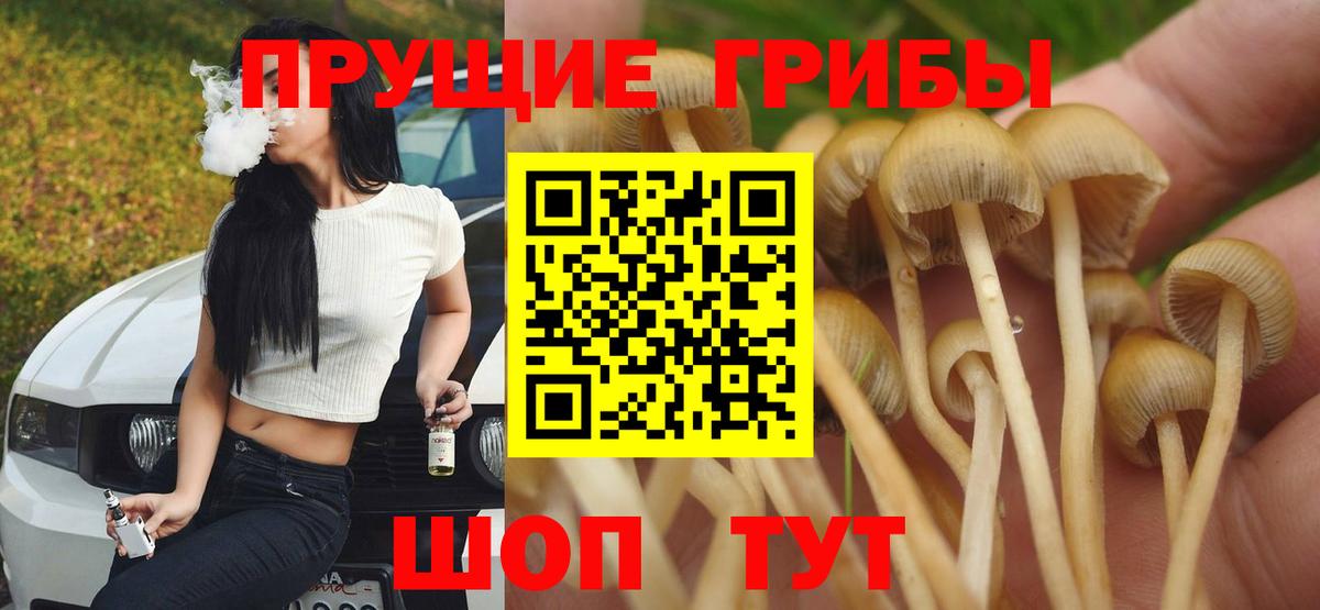 Галлюциногенные грибы прущие грибы  как найти закладки  Карасук  Вход с VPN  Галлюциногенные грибы мицелий 